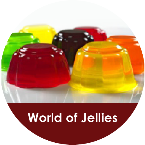 World of Jellies